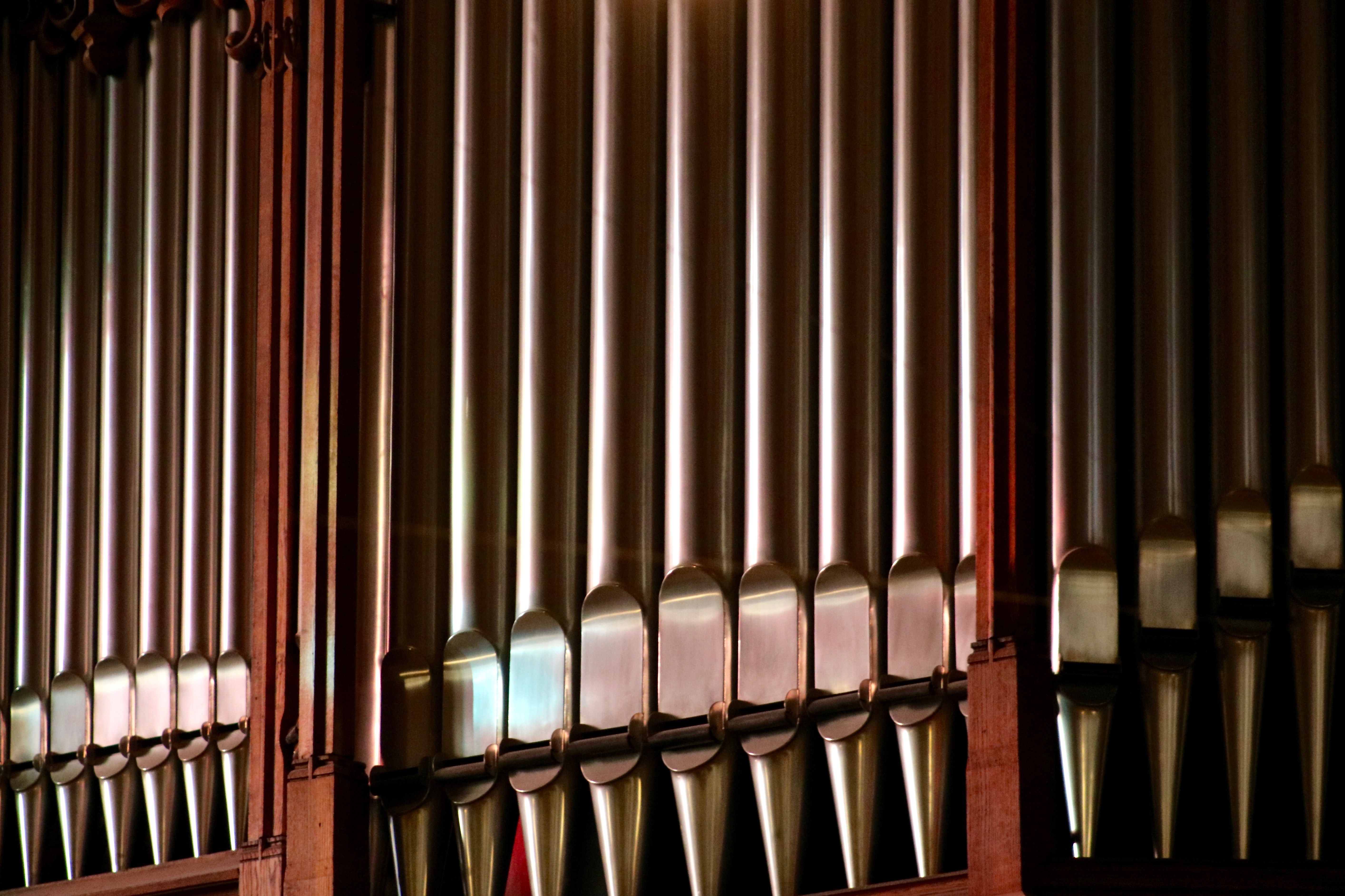 Orgel